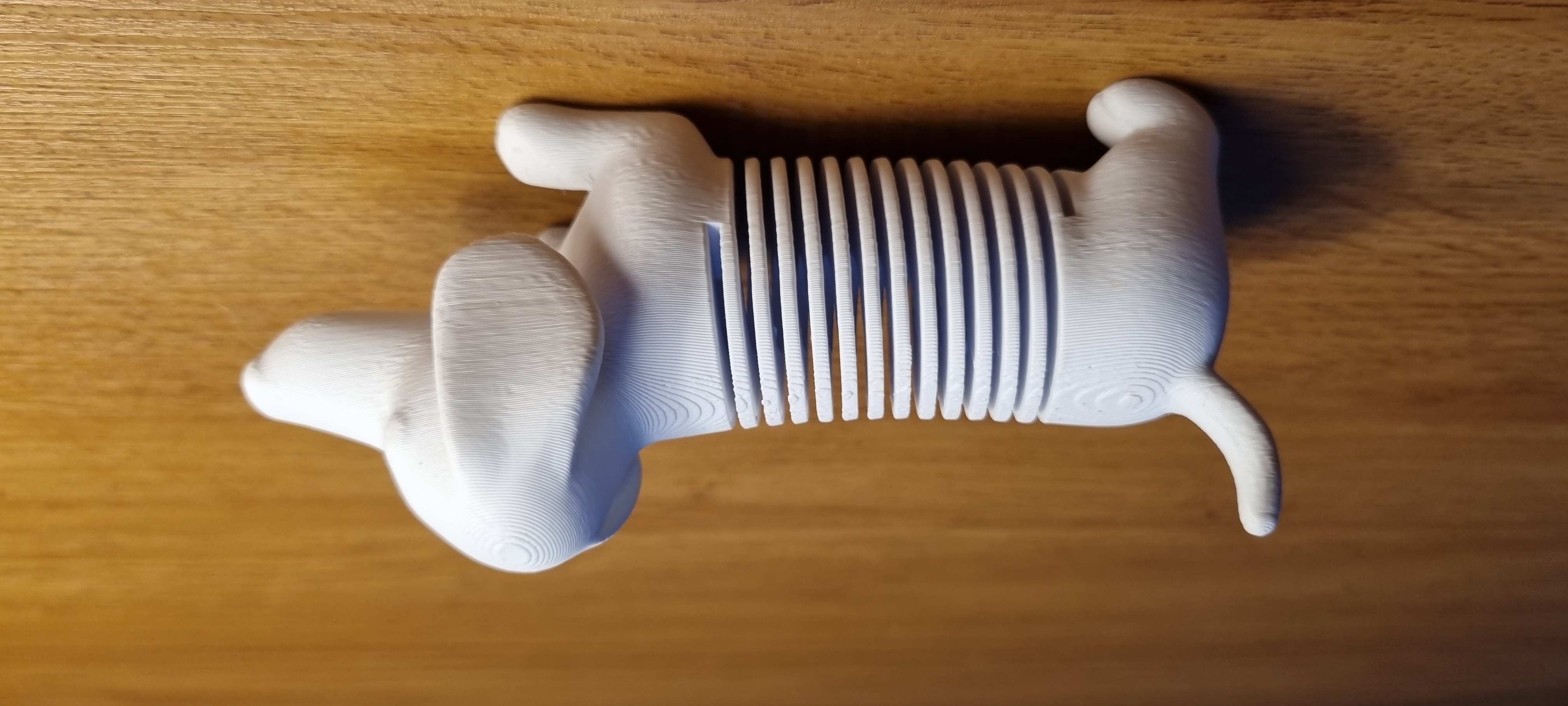 3D printed dog